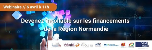 Webinaire  6 avril à 11h.jpg